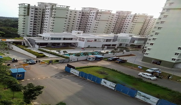 IVC Road 4