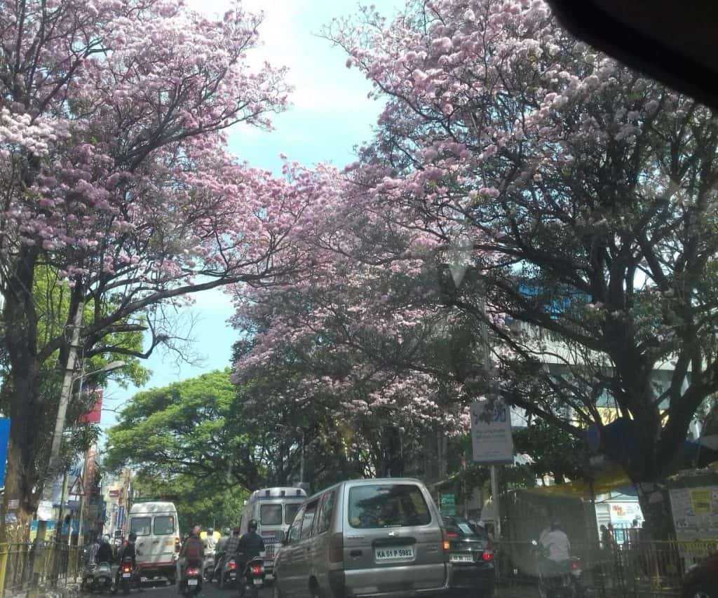 Jayanagar - Locality in Bangalore