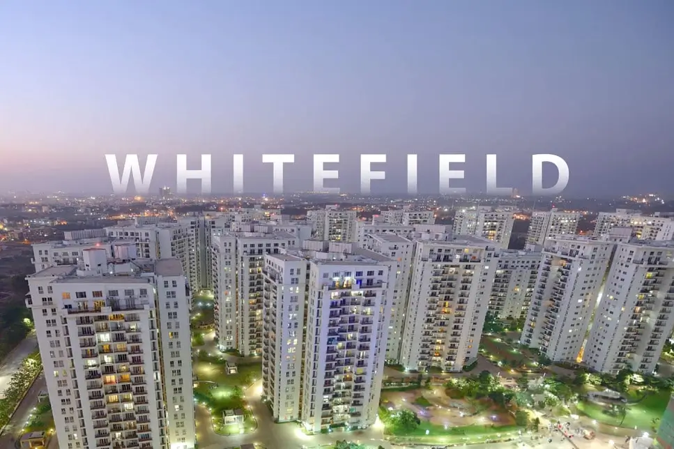 Whitefield