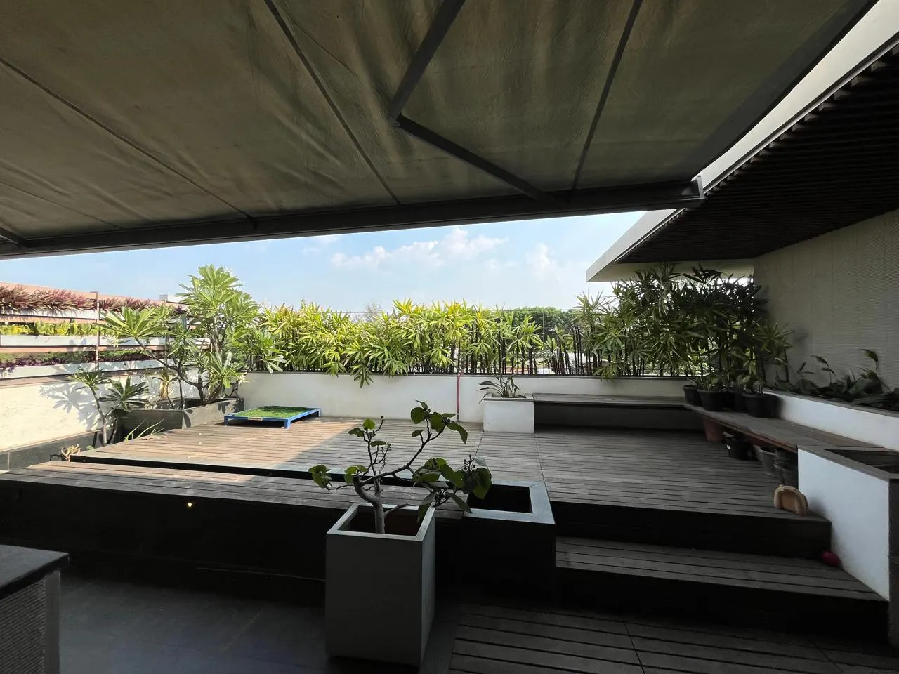 A shaded rooftop terrace with timber decking and potted plants overlooking leafy East Bangalore