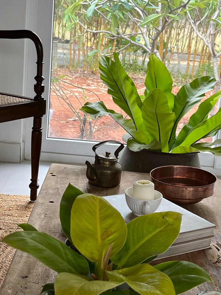 Kugur Village, Balinese Farmhouse, Varthur Road, Ubud Escape - Image 4