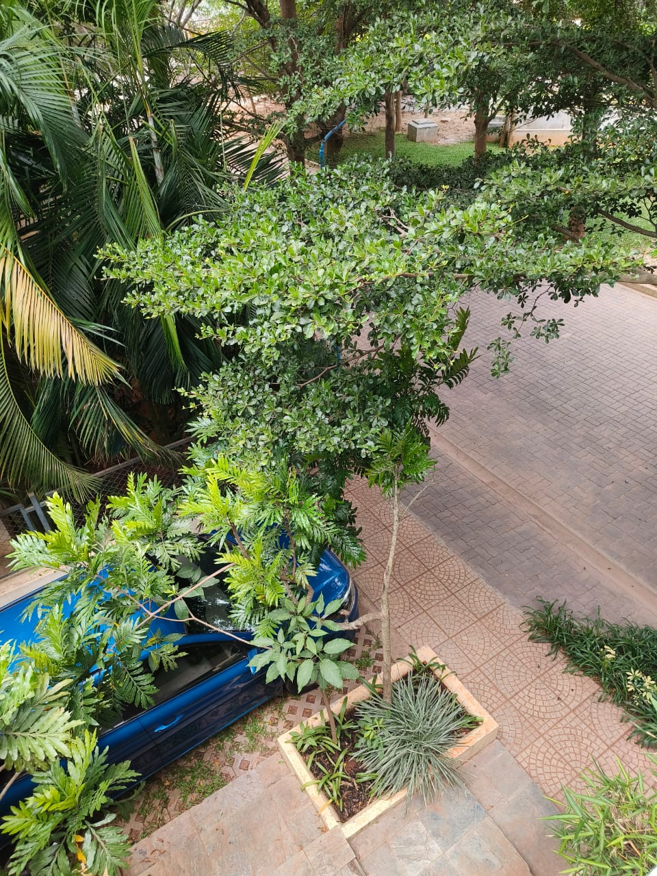 Nandi Hills, Grand 3BHK Villa, Valley Of The Wind, Scenic Retreat - Image 23