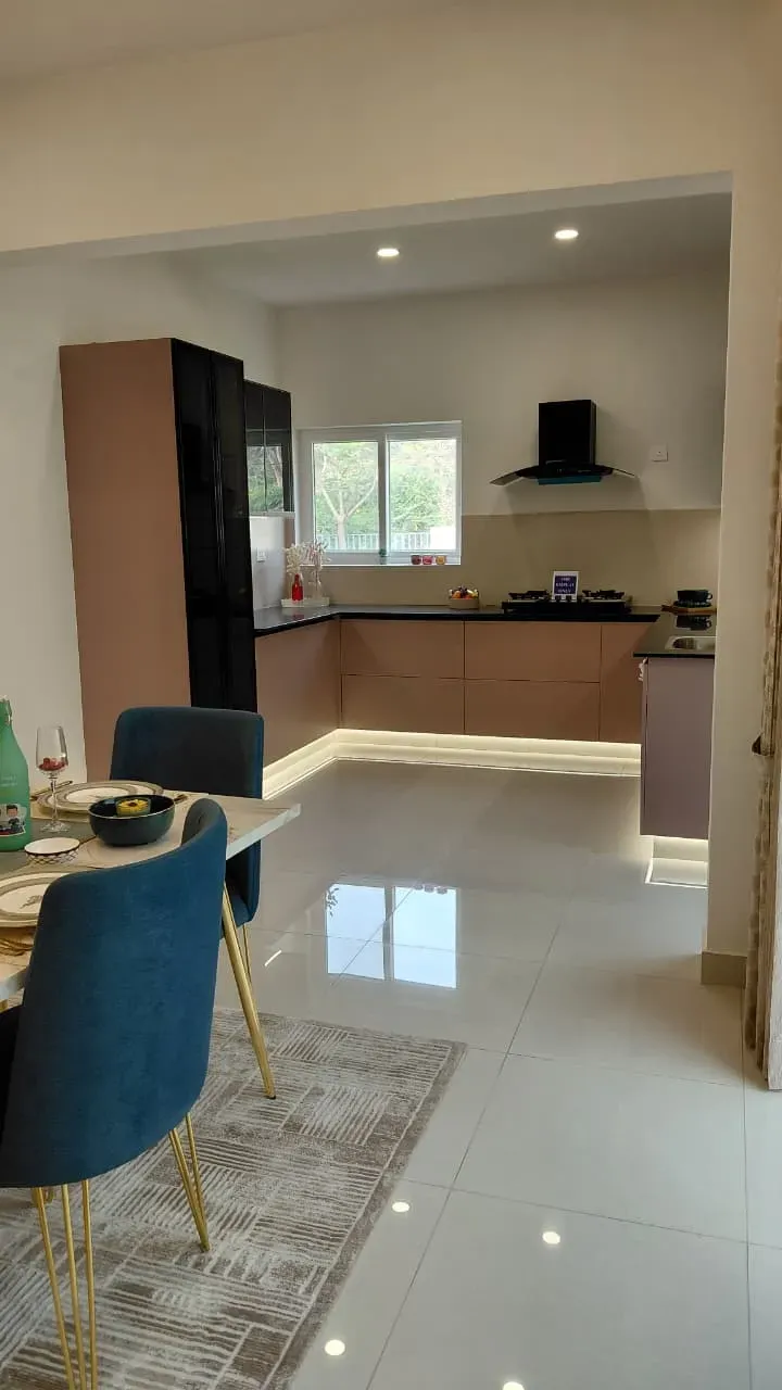 BRR North Excellency 