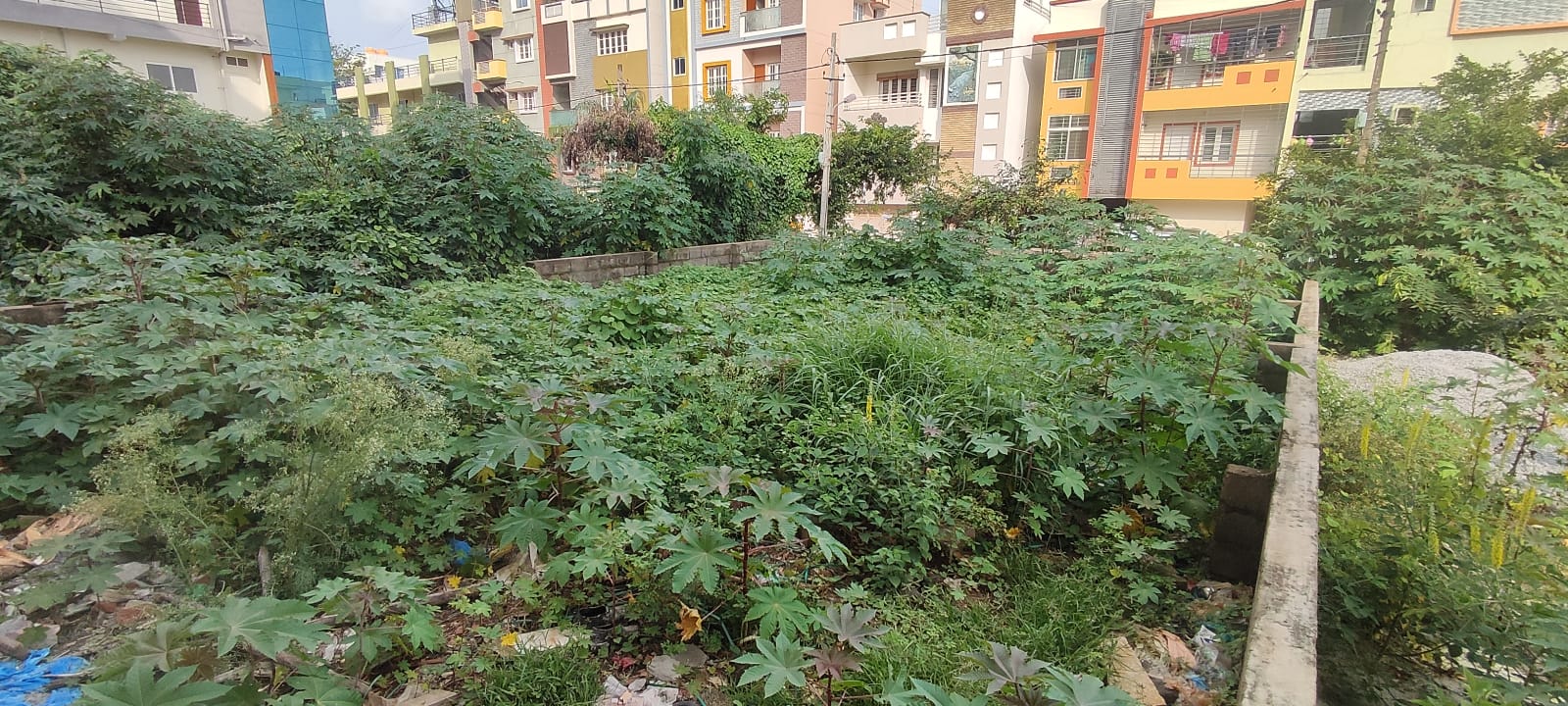 Residential BDA Plot for Sale - Image 5