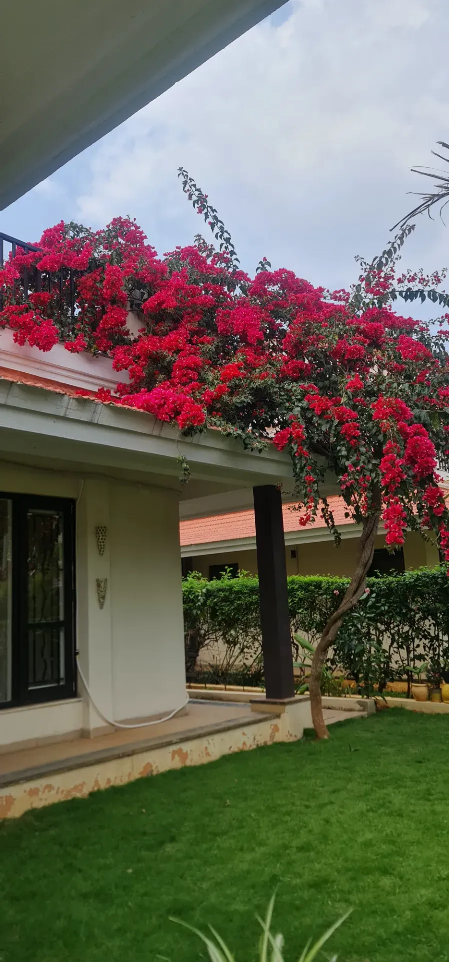 Rajanukunte | Luxury 4 BHK Villa | 4330 Sq. Ft. 5