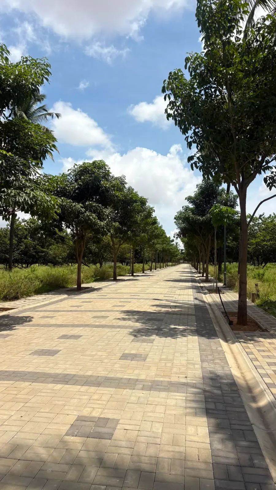 CENTURY SEASONS | Plots for Sale | Devanahalli