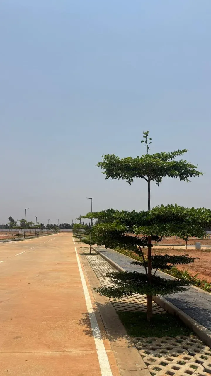 NORTHERN BOULEVARD | Prime Plots for Sale | Devanahalli 2