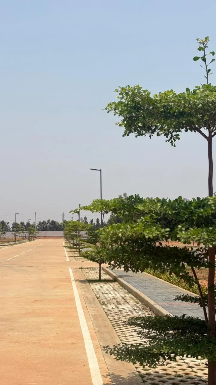 NORTHERN BOULEVARD | Prime Plots for Sale | Devanahalli 5