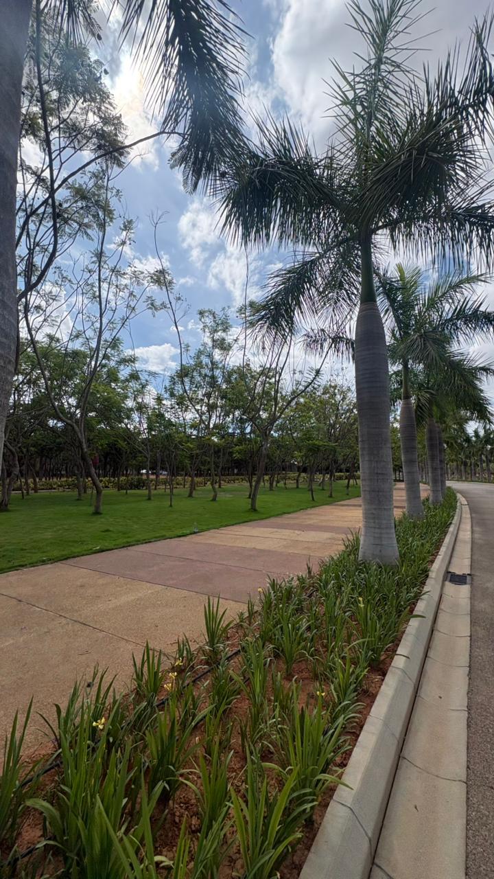 EMBASSY SPRINGS | Devanahalli | Premium Plot for sale