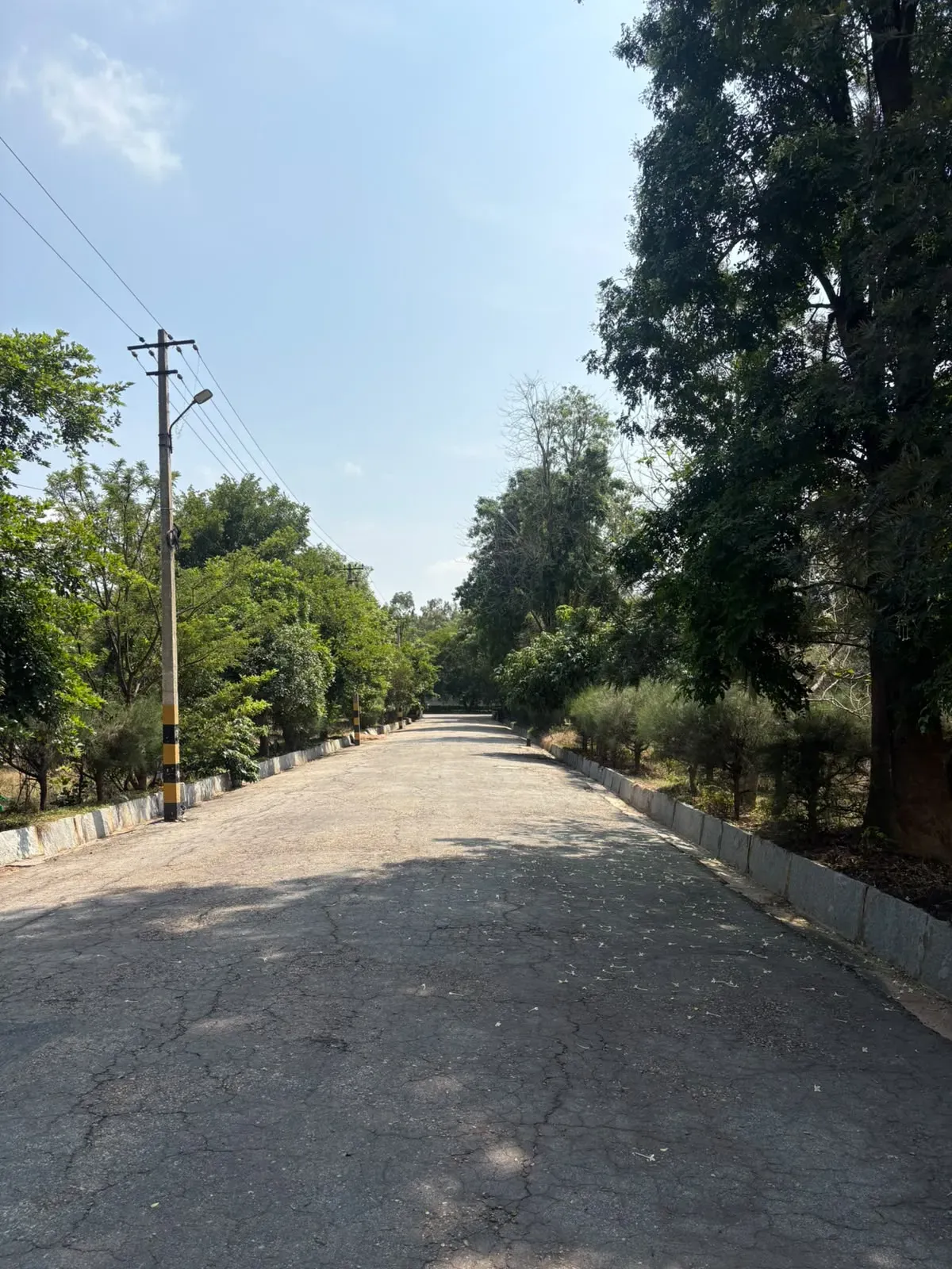 FERN NORTH STAR | NEW AIRPORT ROAD | RESIDENTIAL PLOT FOR SALE | 3