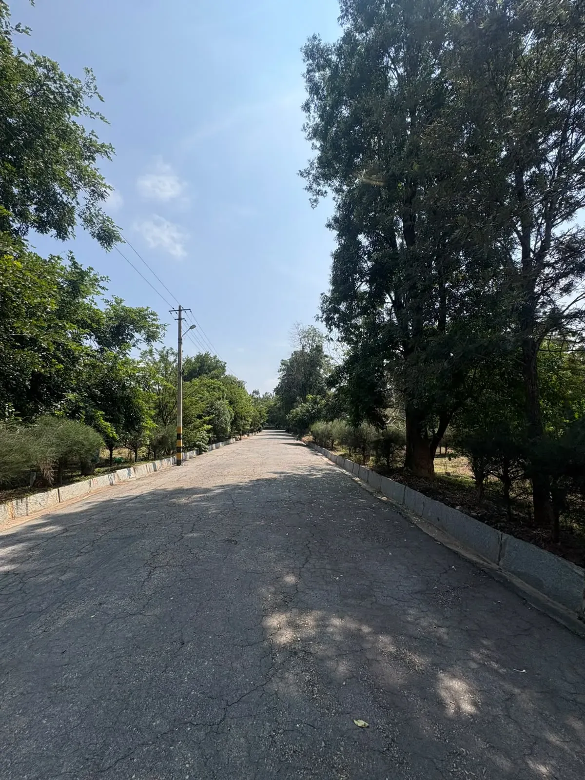 FERN NORTH STAR | NEW AIRPORT ROAD | RESIDENTIAL PLOT FOR SALE | 4
