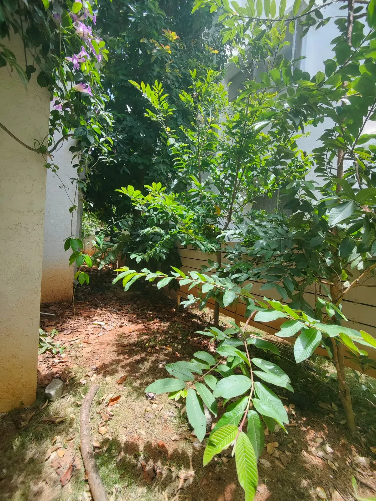 Rosebay by Taapasi | Bagluru | North Bangalore | 13k per sq.ft
