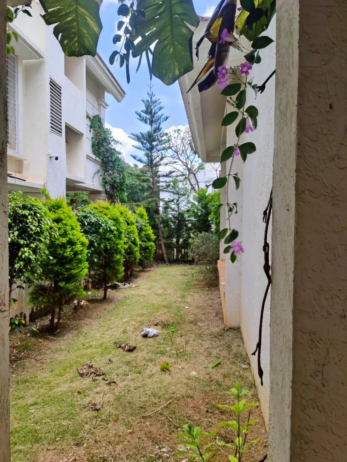 Rosebay by Taapasi | Bagluru | North Bangalore | 13k per sq.ft
