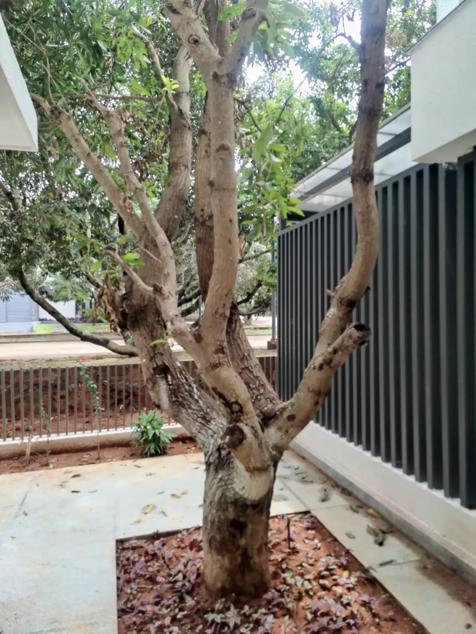 Expansive 4 BHK Luxury Villa in 'Under The Sun', Devanahalli 5