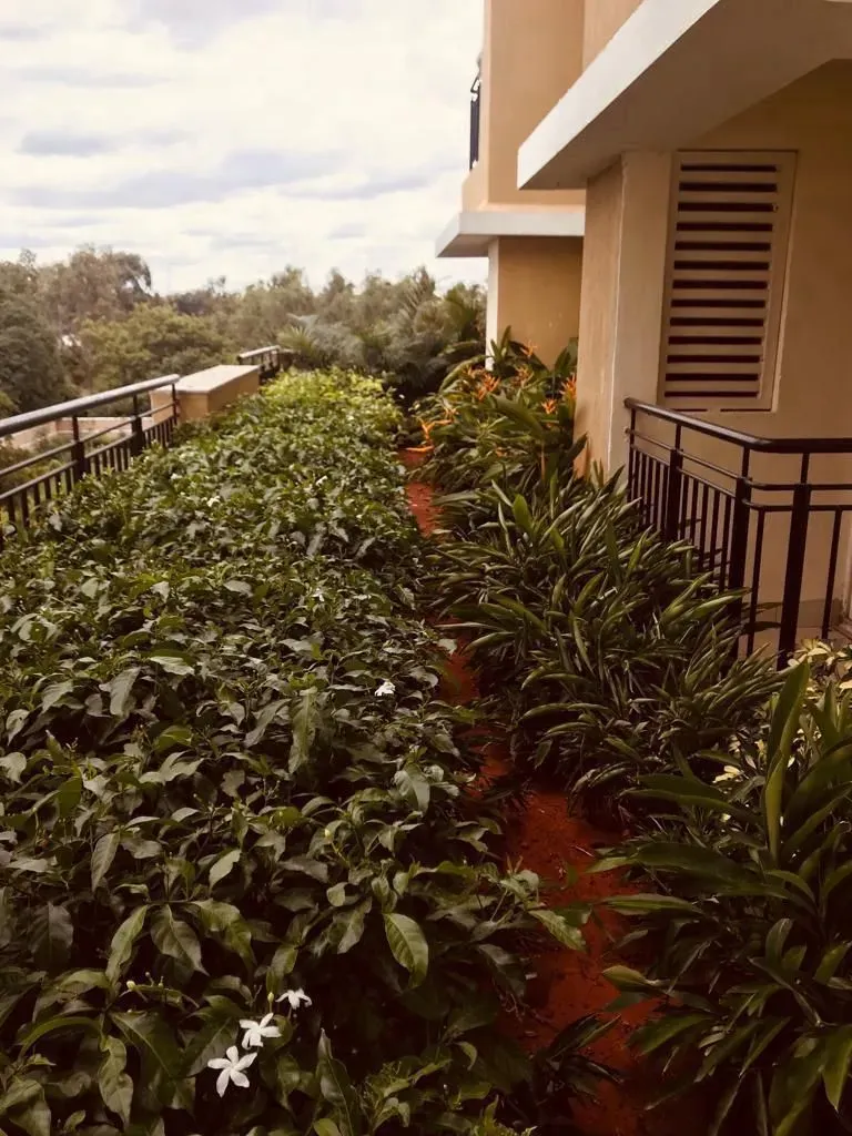 Yelahanka | Executive 1 BHK Suite | 602 Sq. Ft. 4