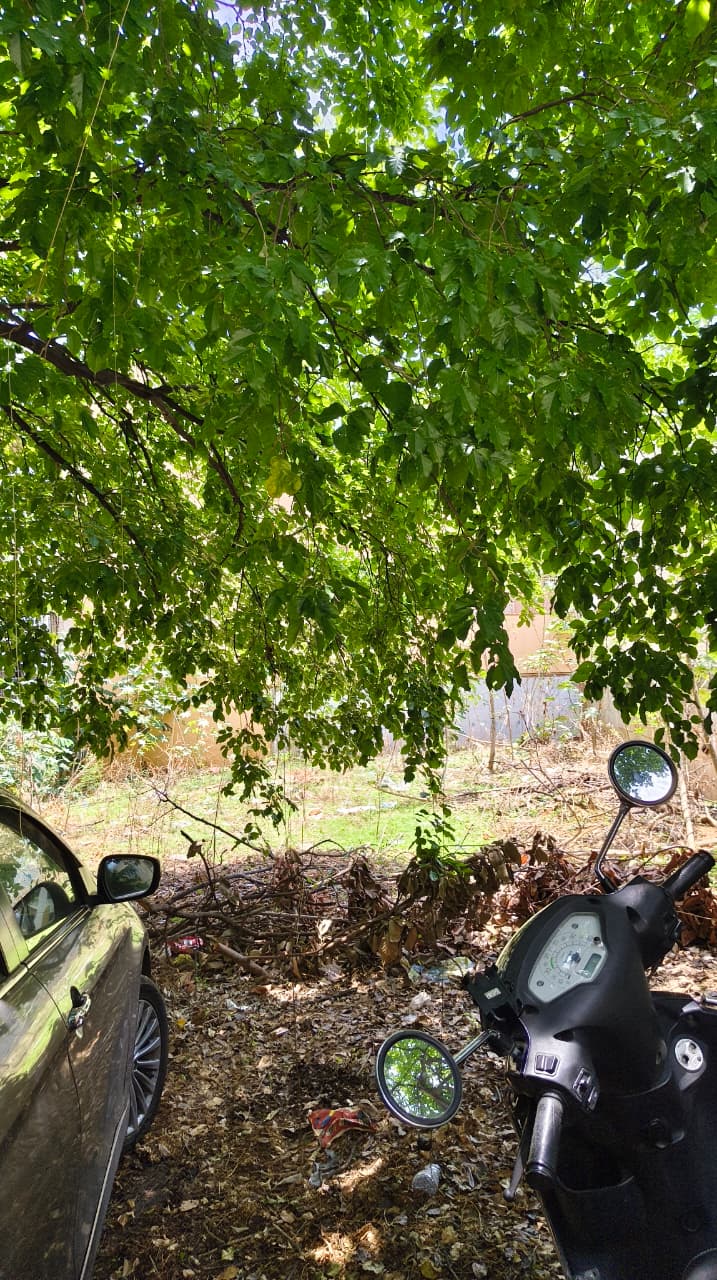 Kumaraswamy Layout | Prime Residential Plot with High UDS | 1,200 Sq. Ft. 4