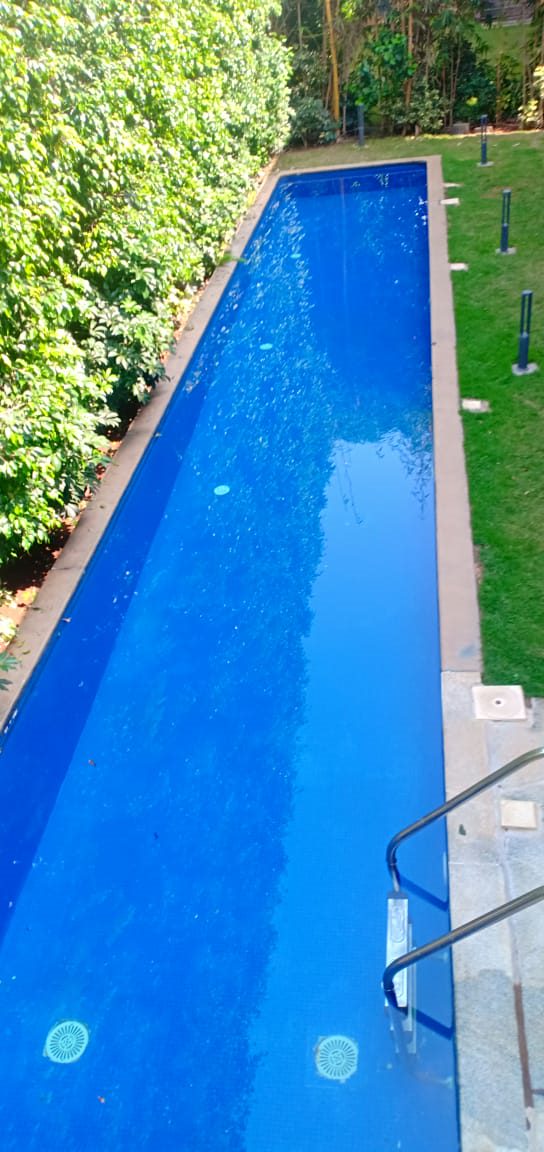 WindMills Of your Mind whitefield - Image 5