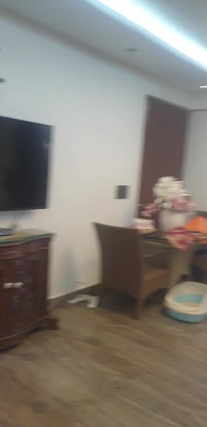 Cooke Town | 2 BHK Apartment 3