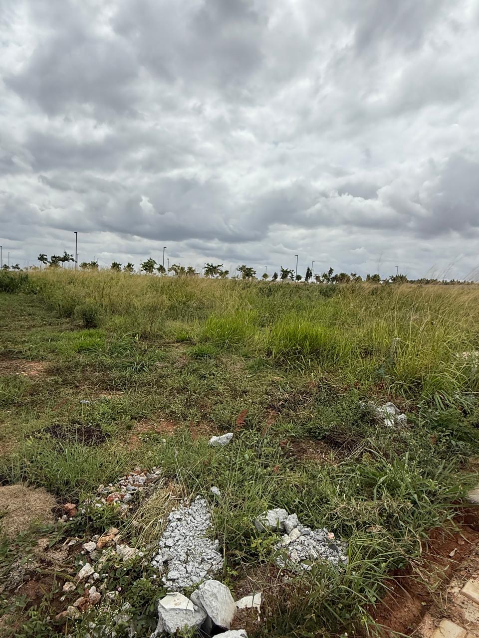 PLOT - Luxury Villa Plot for Sale in Adarsh Savana Phase 1, North Bangalore - Image 17