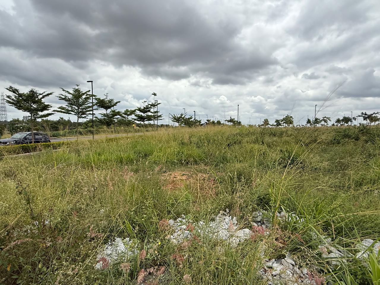 PLOT - Luxury Villa Plot for Sale in Adarsh Savana Phase 1, North Bangalore - Image 19