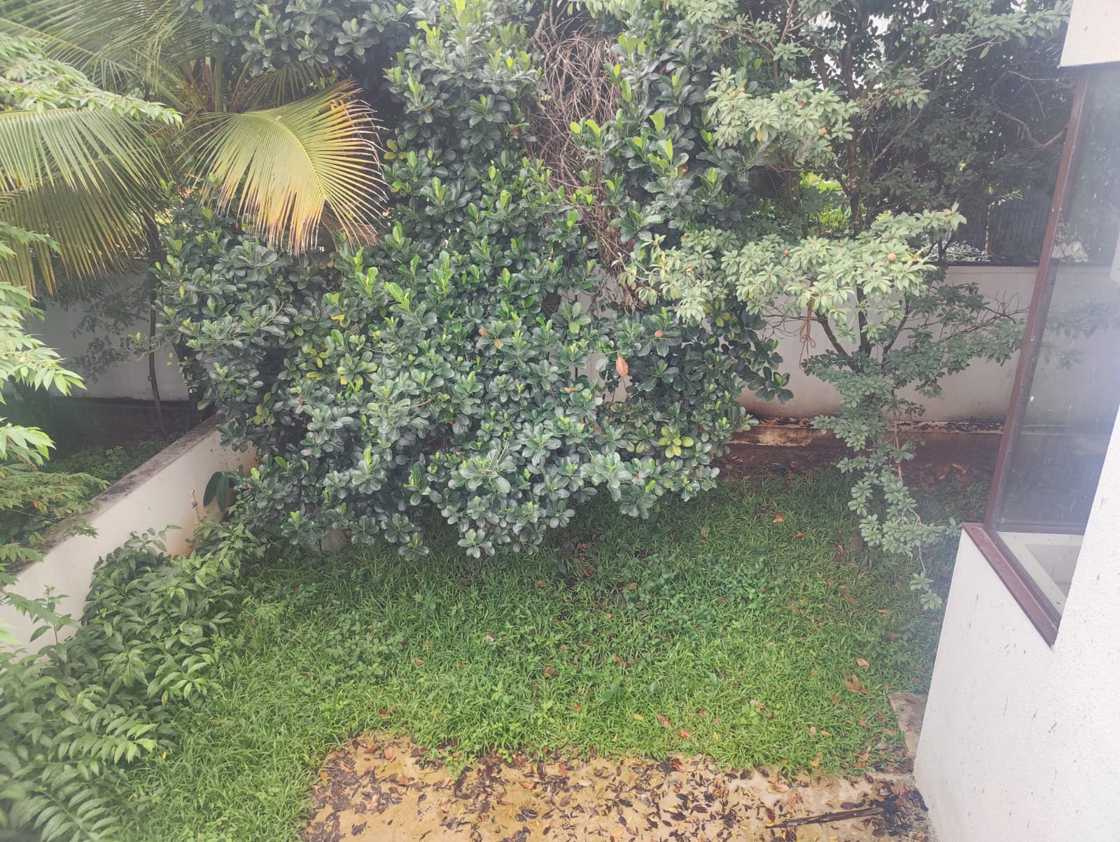 North Bangalore | Ultra-Luxury Villa in 'Under The Sun' on Prime 5,100 Sq. Ft.  - Image 9