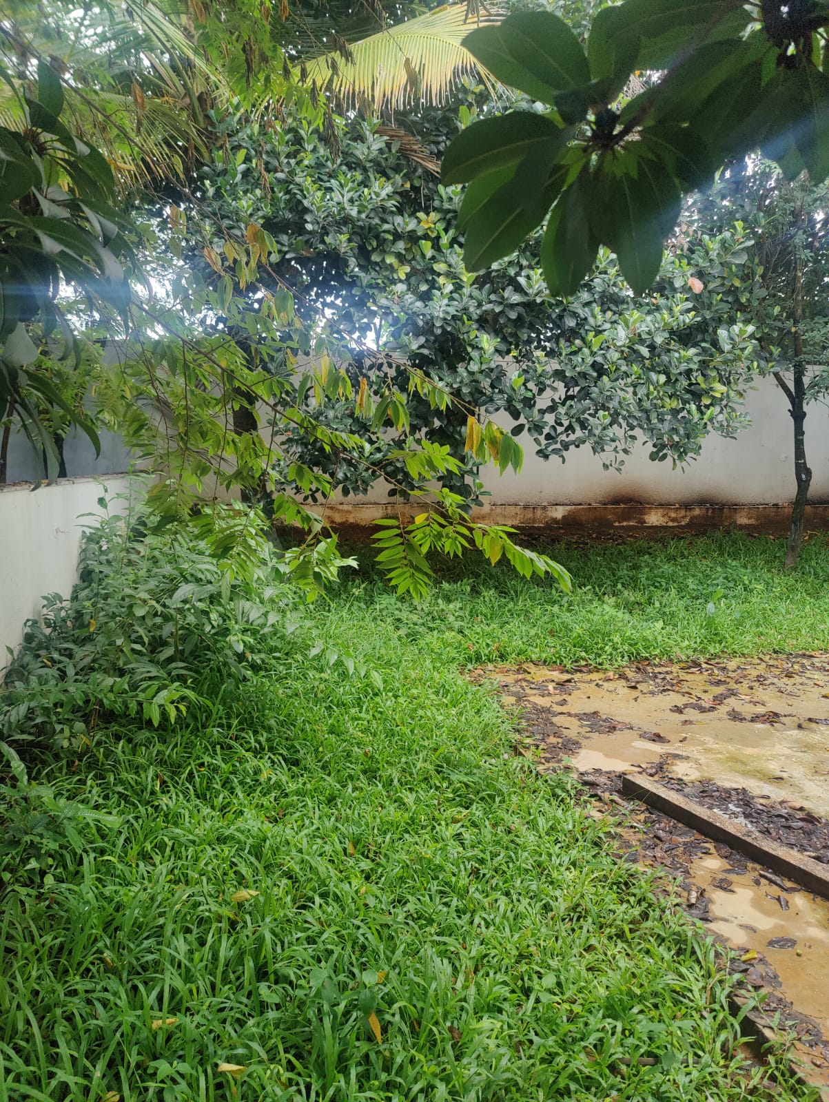 North Bangalore | Ultra-Luxury Villa in 'Under The Sun' on Prime 5,100 Sq. Ft.  - Image 11