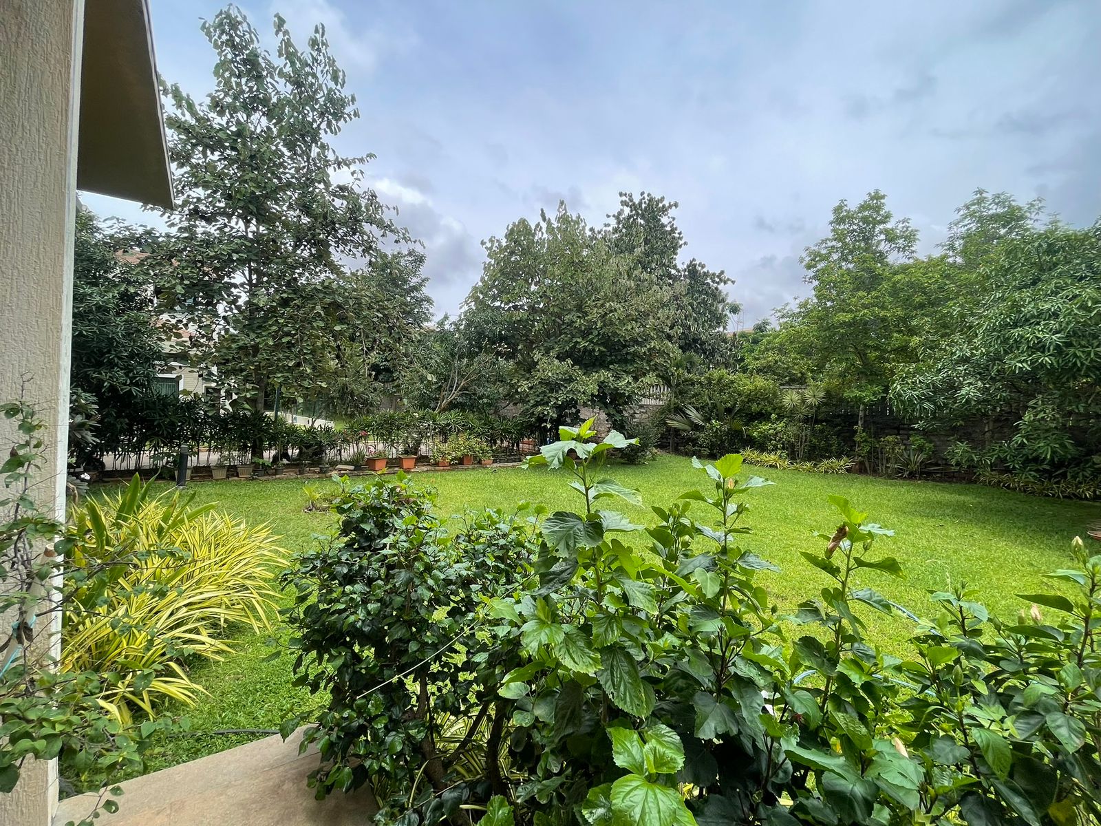 Exquisite Fully Furnished 3BHK Villa for Rent in Brigade Orchards