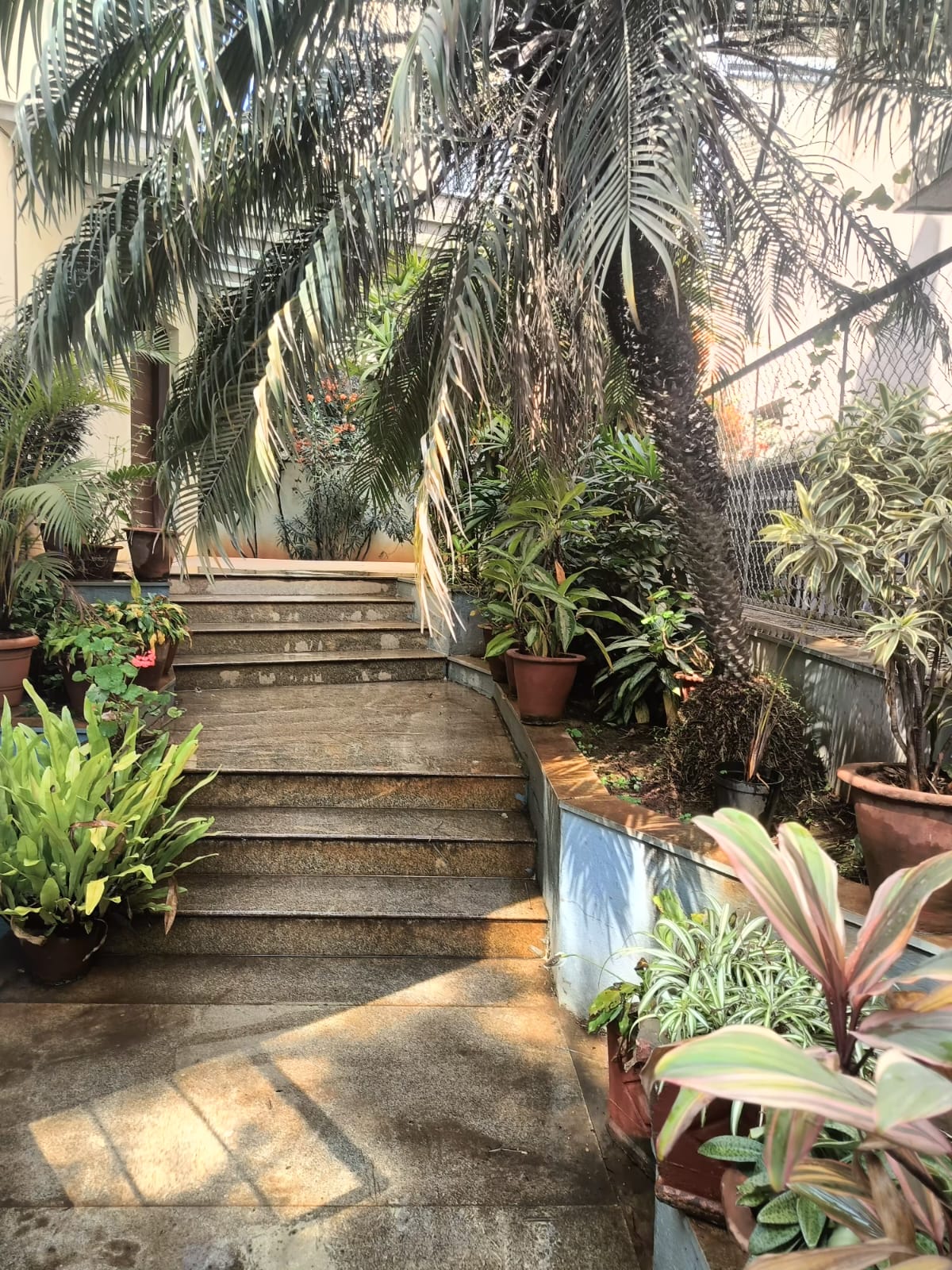 RT Nagar House +  LAND OPPORTUNITY: 3840 Sq. Ft. Independent Plot in Prime RT Nagar/Anand Nagar (East Facing) - Image 5