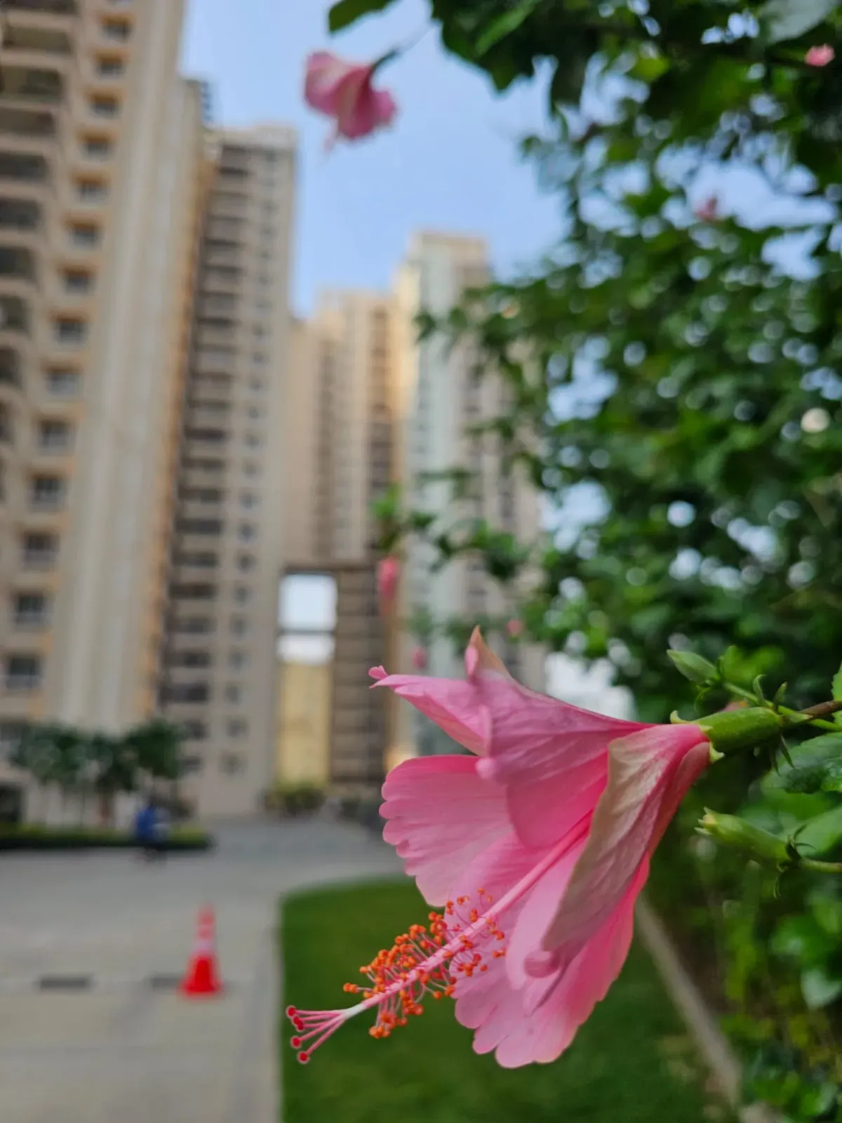 Kolte Patil Exente, Electronic City Phase 2 | Fully Furnished High-Rise 3 BHK | 1750 Sq. Ft. - Image 2