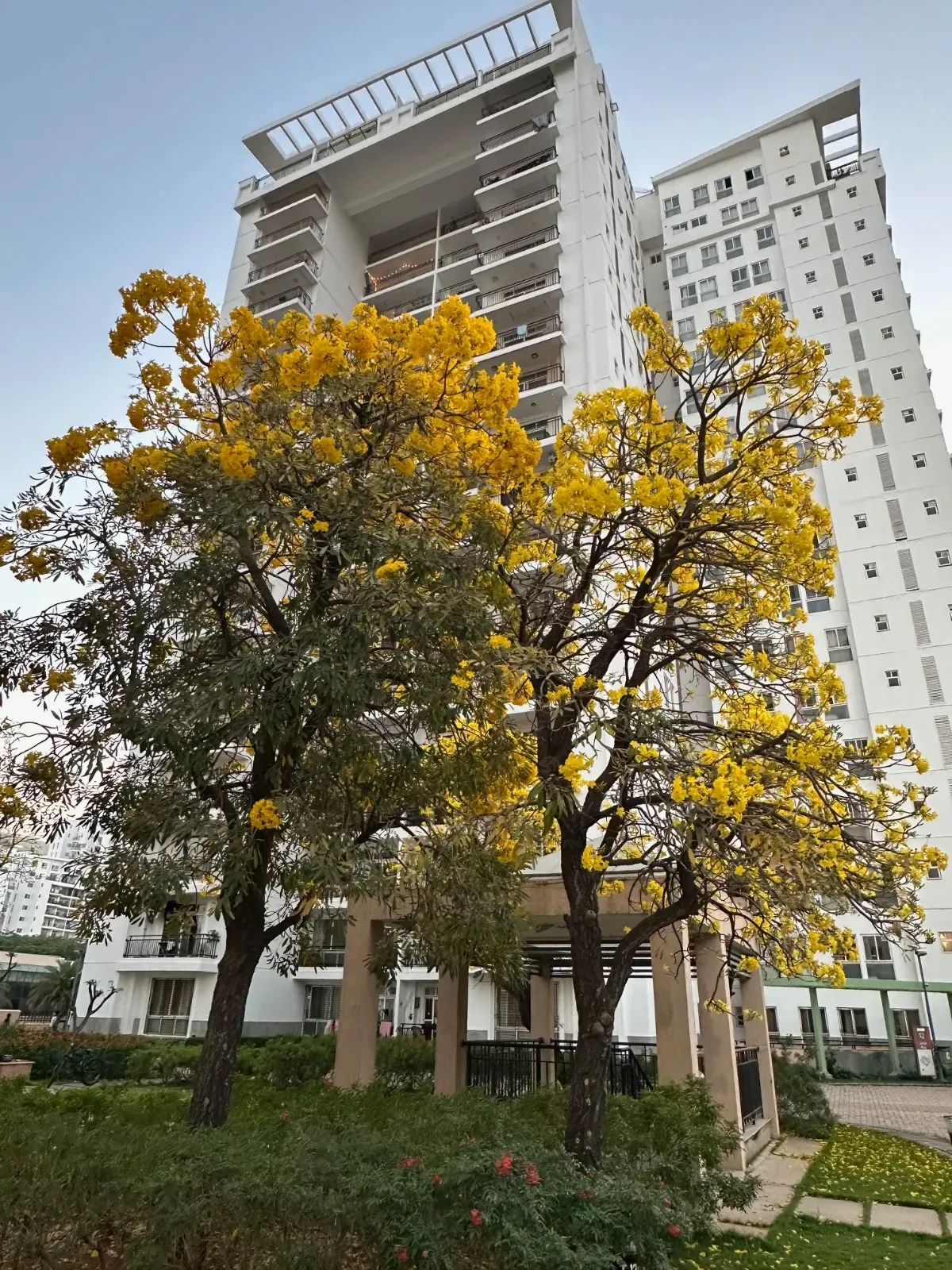 Prestige Shantiniketan: Whitefield | Sky-High Mansion Duplex | 4,306 Sq. Ft. 8.6Cr