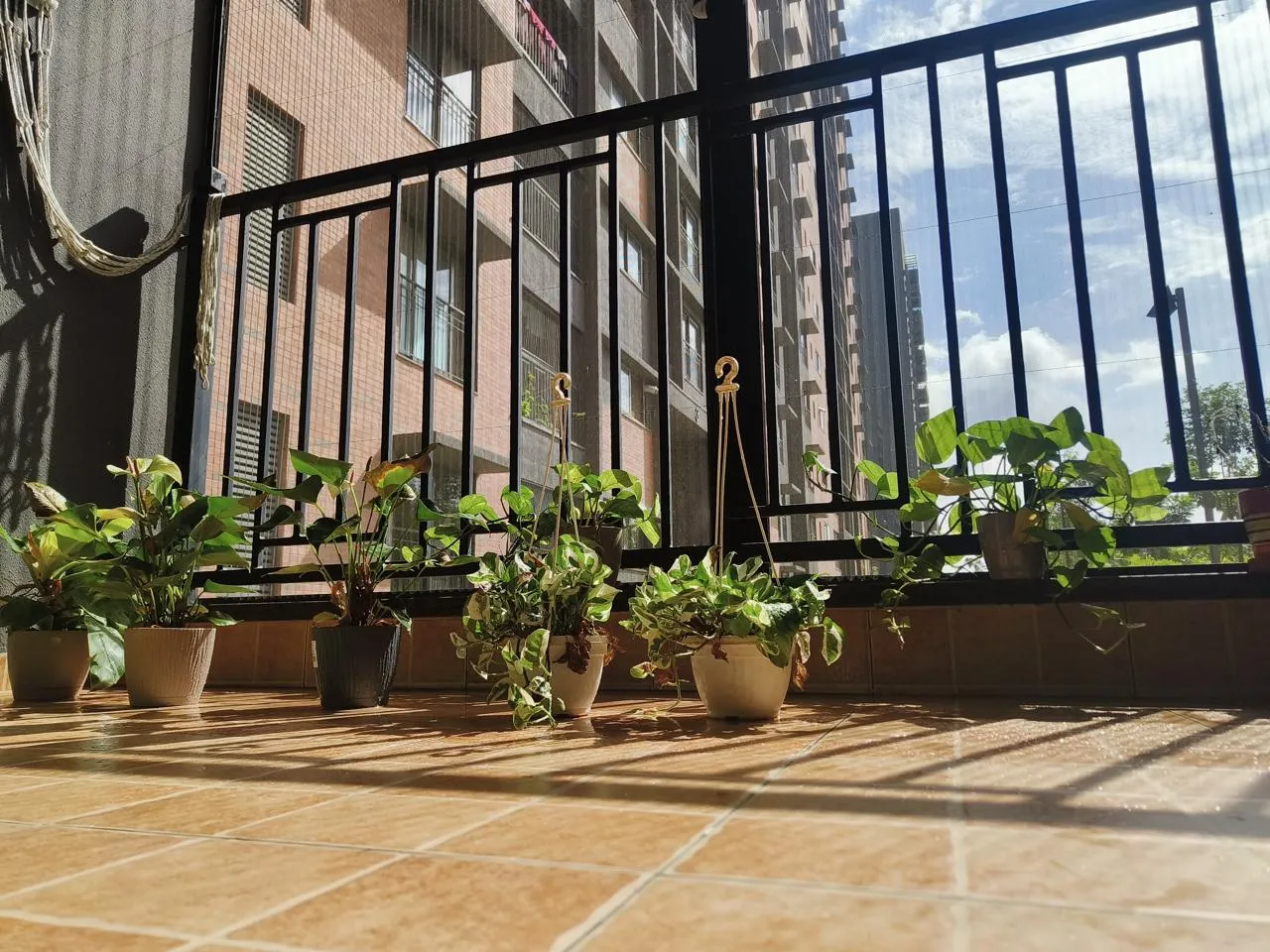 Jakkur | SOBHA HRC Pristine 3Br for RENT  Rs 7500 