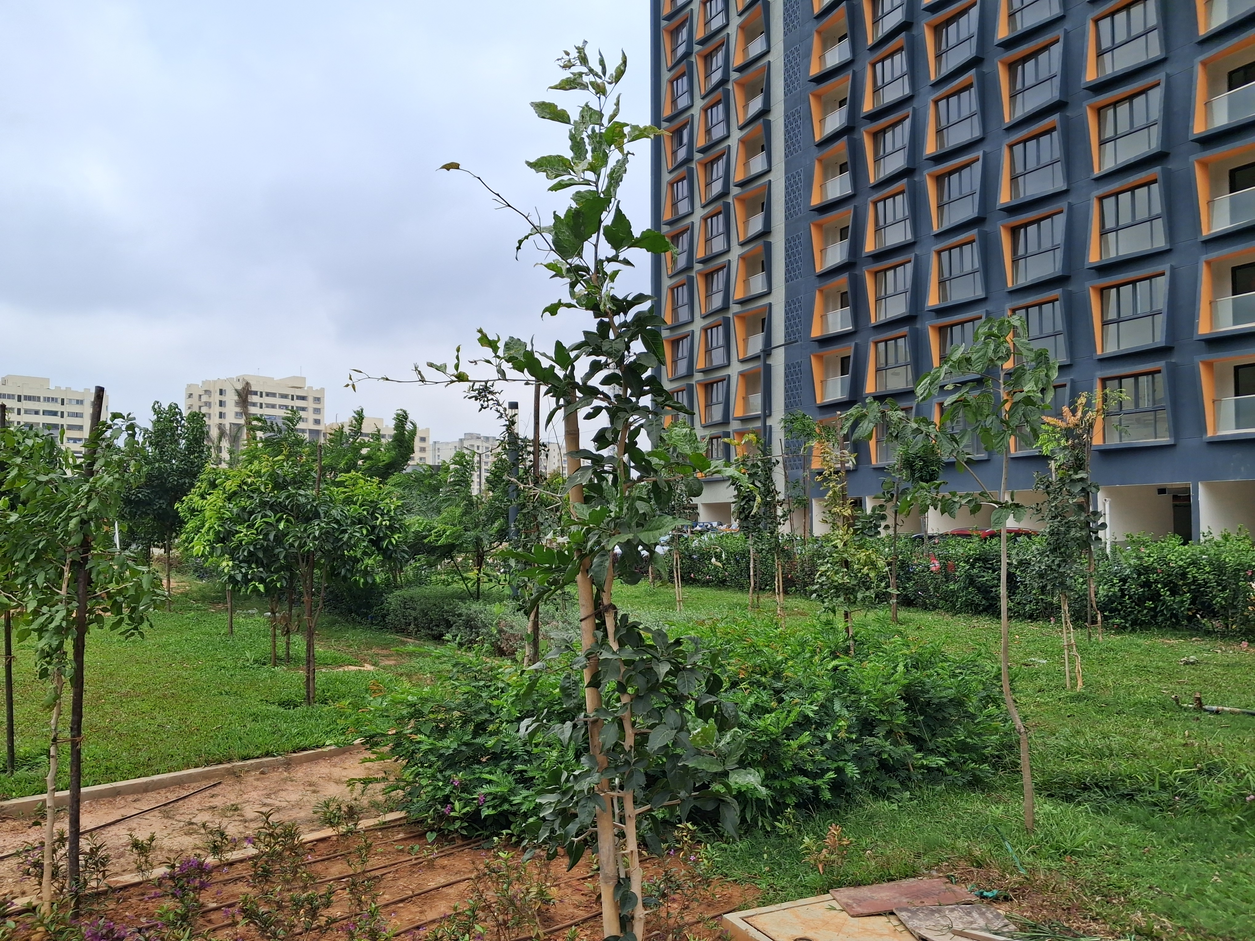 Thanisandra, Premium 3BHK + SR, Purva Atmosphere, High-Floor Luxury