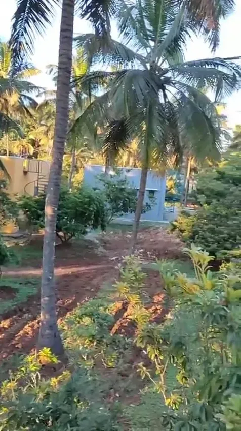 Doddaballapura | Income-Generating Resort Estate | 2.5 Acres 3
