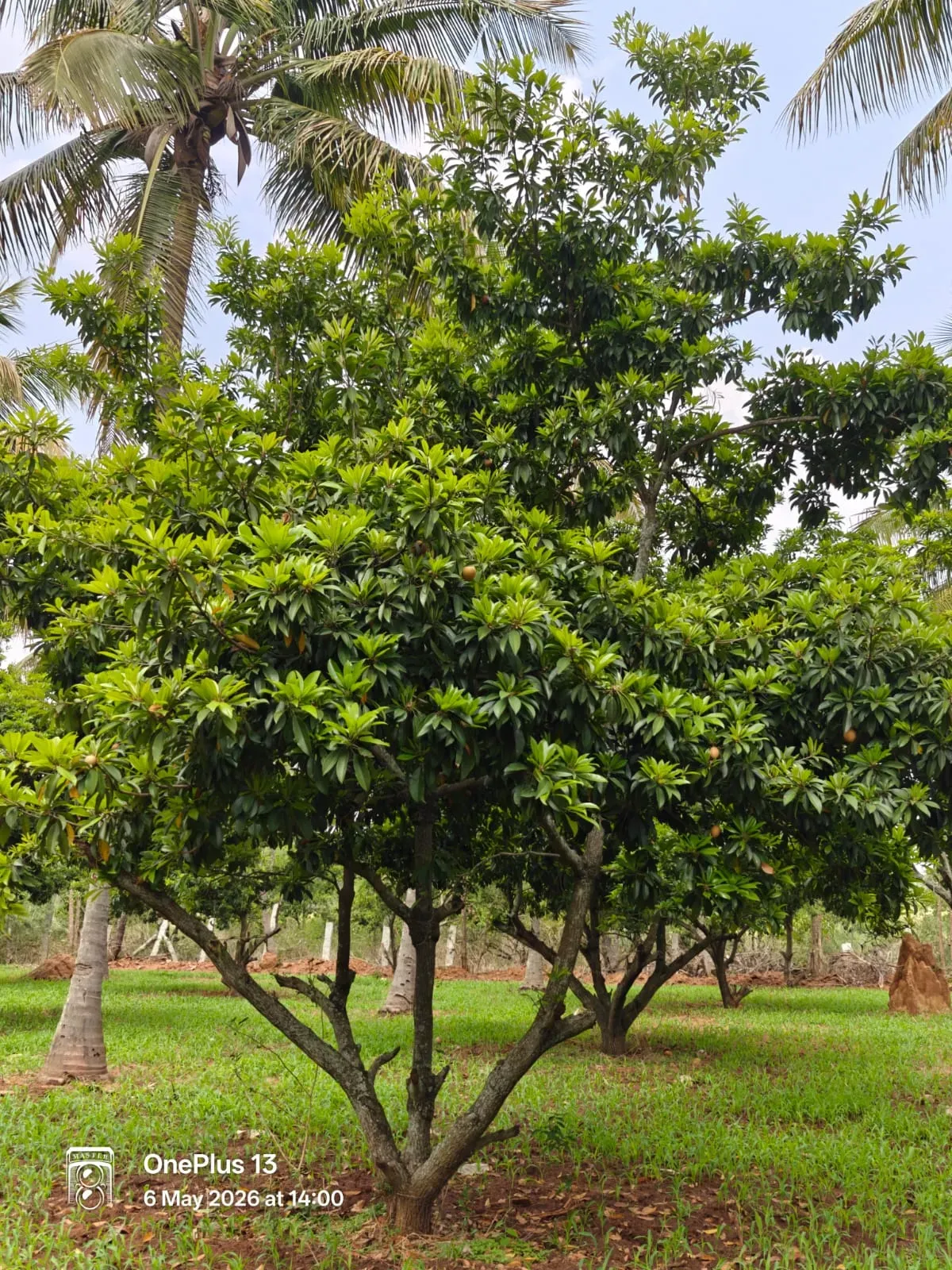 Doddaballapura | Income-Generating Resort Estate | 2.5 Acres 4