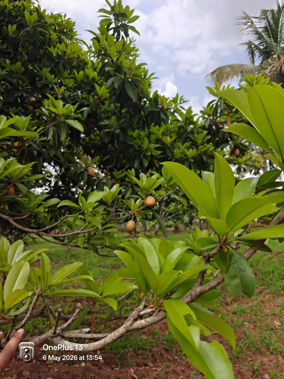 Doddaballapura | Income-Generating Resort Estate | 2.5 Acres 5