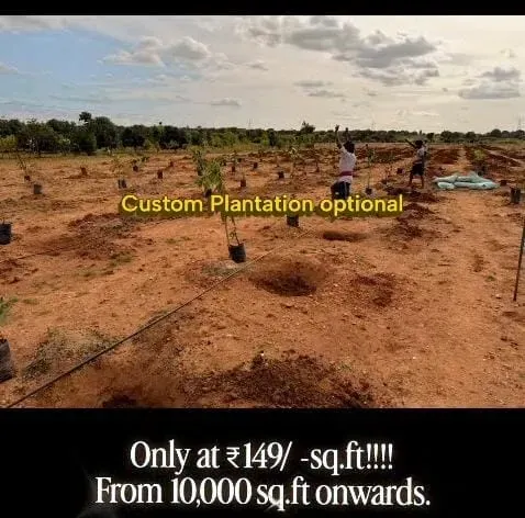 Penukonda | Premium Managed Farmland Plots | 10,000 Sq. Ft. Onwards