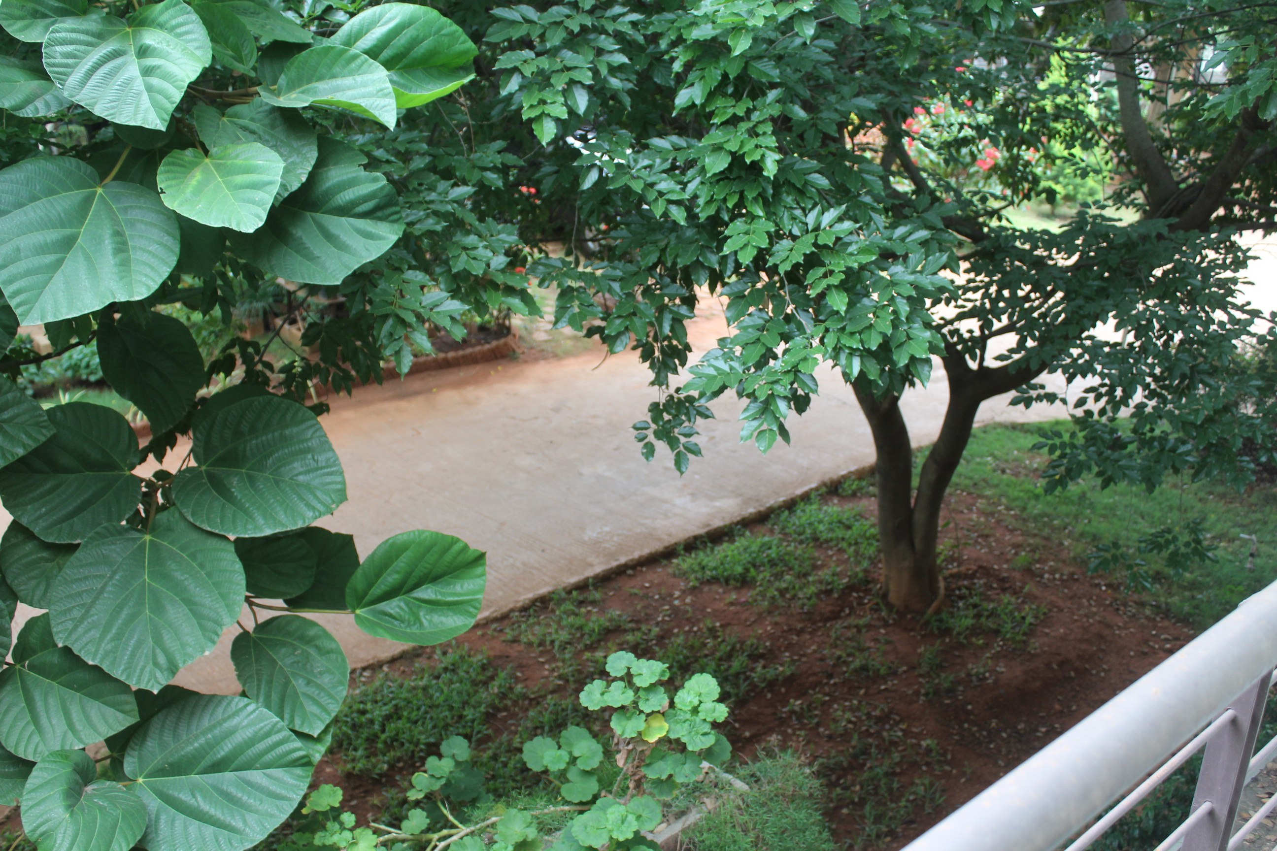 Villa in Zed Earth villa, Rajankunte, Yelhanka - Image 9