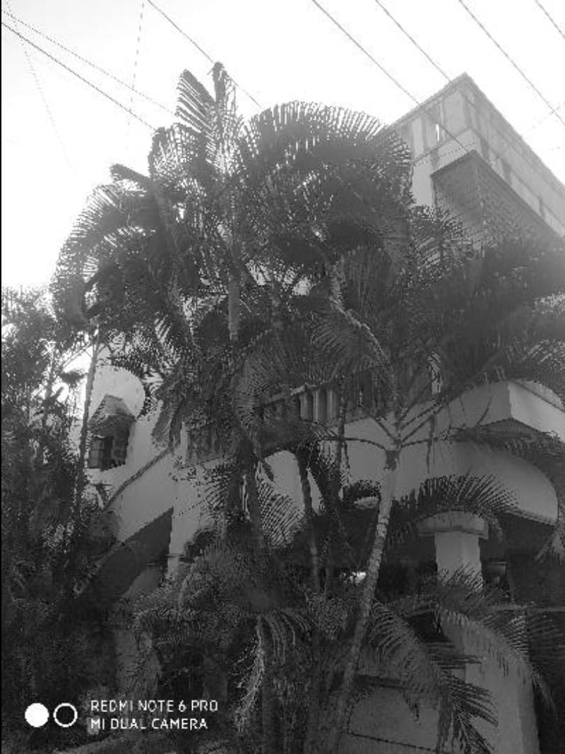 Independent House in S M Nivas