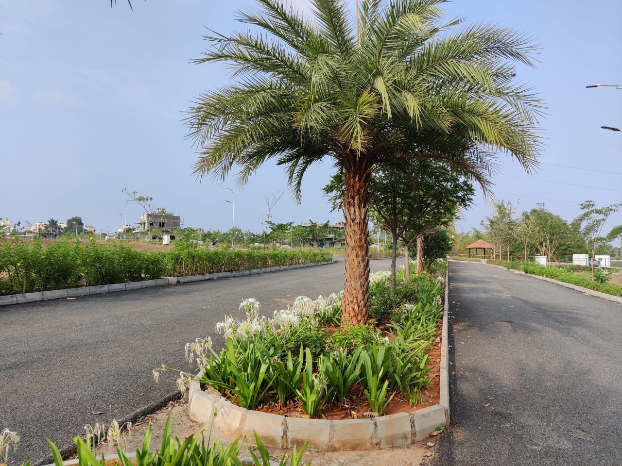 West-Facing Plot in Cauvery Enclave, Hosapalya - Image 8